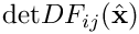 $\mbox{det} DF_{ij}(\hat{{\bf x}}) $