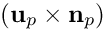 $ ({\bf u}_p \times {\bf n}_p) $
