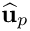 $ \widehat{\bf u}_p $