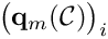 $ \big({\bf q}_m(\mathcal{C})\big)_i $
