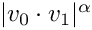 $|v_0\cdot v_1|^{\alpha}$