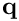 $\mathbf{q}$