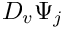 $D_v\Psi_j$