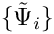 $\{\tilde{\Psi}_i\}$