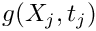 $g(X_j,t_j)$