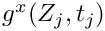 $g^x(Z_j,t_j)$