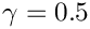 $\gamma =  0.5$